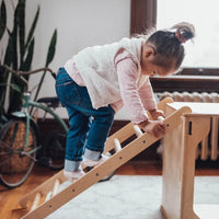 PlayBox - Pikler Box All Circles